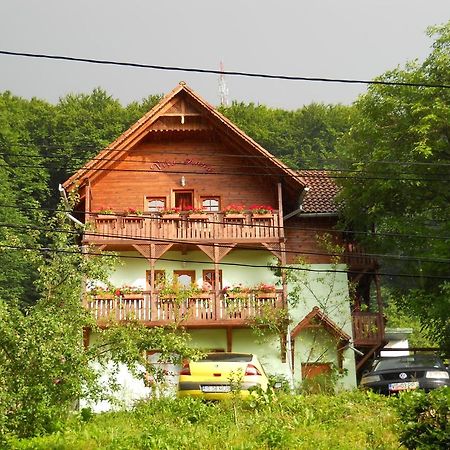 Vila Anna Sovata Bagian luar foto