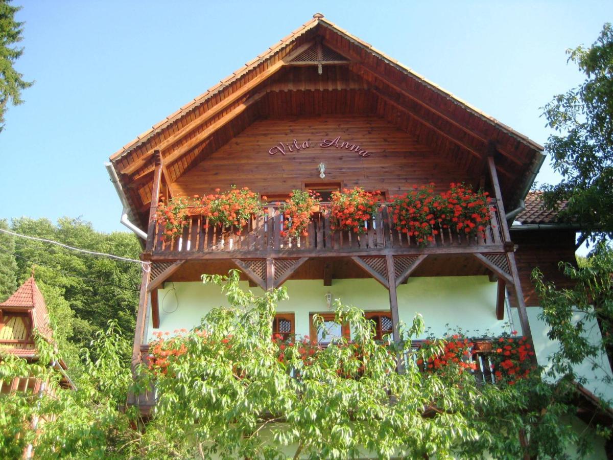 Vila Anna Sovata Bagian luar foto