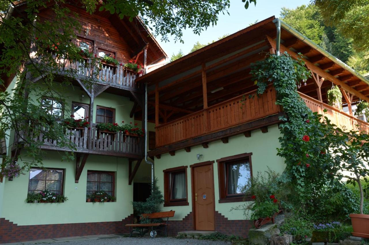 Vila Anna Sovata Bagian luar foto