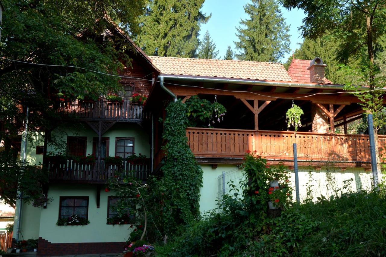 Vila Anna Sovata Bagian luar foto